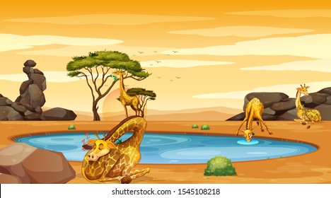 Scene with giraffes by the pond illustration