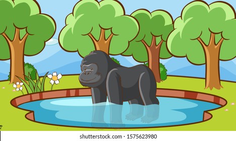 Szene mit Gorilla in der Waldgrafik