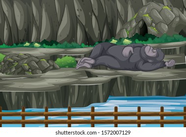 Scene gorilla at the zoo illustration