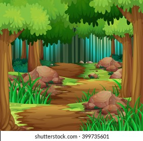 Scene with hiking track in the forest	 illustration