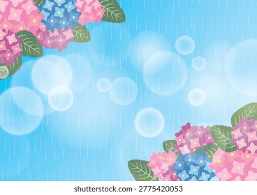 A scene of hydrangea flowers blooming in the rainy season during the summer.