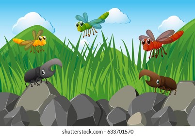 Scene with insects in the garden illustration