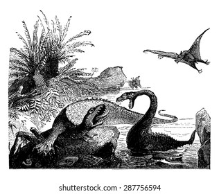 Scene from the Jurassic period, Ichthyosaur, plesiosaur, pterodactyls, vintage engraved illustration. Earth before man  1886.