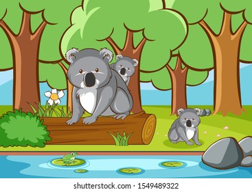 Scene with koala in the forest illustration