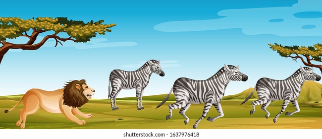 Scene With Lion Hunting Zebra In The Green Field Illustration