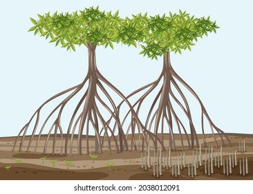 Scene with mangrove trees in cartoon style illustration