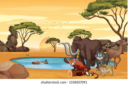 Scene with many animals in the field illustration
