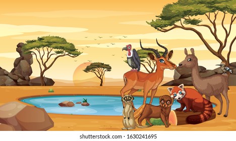 Scene Many Deers Open Zoo Illustration Stock Vector (royalty Free 