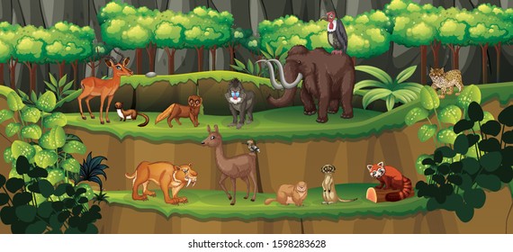 Scene with many animals in forest illustration