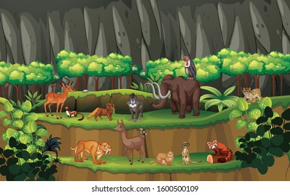 Scene with many animals in the forest illustration