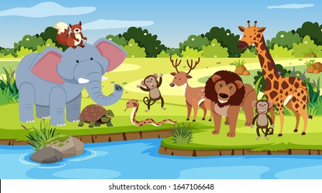 Scene with many animals standing by the river illustration