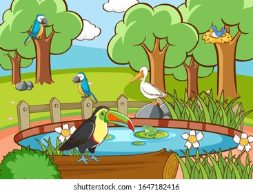 Scene with many birds in the park illustration