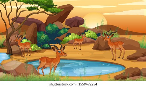 Scene with many deers at the open zoo illustration