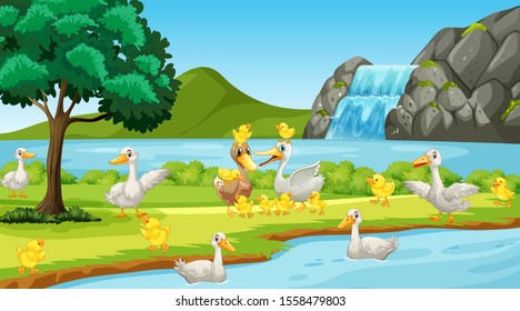 Scene with many ducks by the river illustration