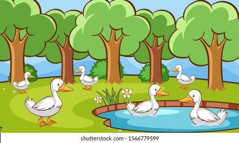 Scene with many ducks in the pond illustration