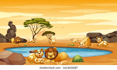 Scene with many lions by the pond illustration