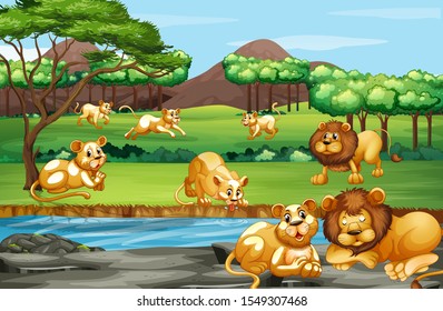 Scene with many lions in the field illustration
