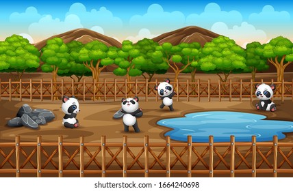 Scene with many pandas in the zoo park open cage on nature