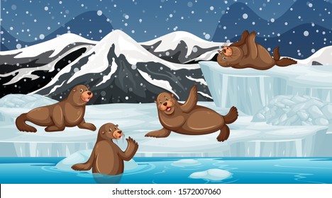 Scene with many seals on ice illustration