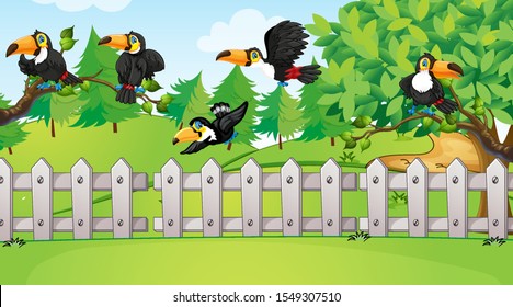 Scene with many toucan birds in the park illustration