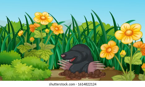 Scene with mole in the garden illustration