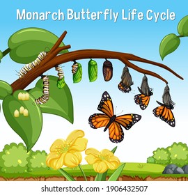 Scene With Monarch Butterfly Life Cycle Illustration