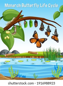 Scene with Monarch Butterfly Life Cycle illustration