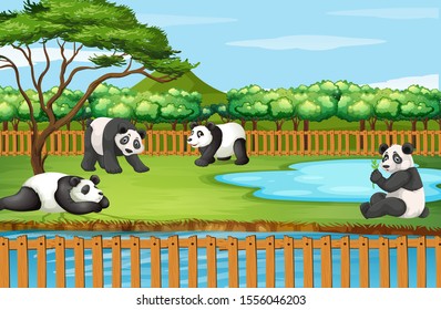 Scene with panda in the zoo illustration