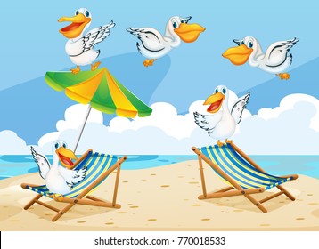 Scene with pelican birds on the beach illustration