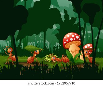 Scene with plants and ants in the garden illustration