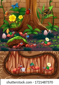 Scene with plants and insects in the garden illustration