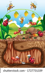 Scene with plants and insects in the garden illustration