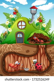 Scene with plants and insects in the garden illustration