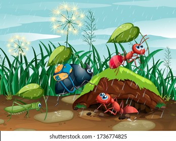 Scene with plants and insects in the garden illustration