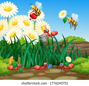 Scene with plants and insects in the garden illustration