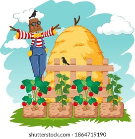 Scene with scarecrow in vegetable garden illustration