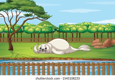 Scene with seal in the zoo illustration