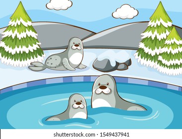 Scene with seals in the pond illustration