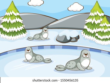 Scene with seals in winter illustration