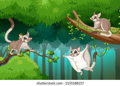 Scene With Sugar Glider In Forest Illustration