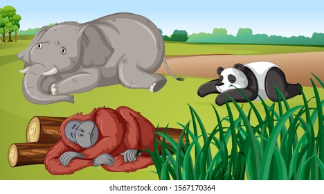 Cena com três animais na ilustração de campo