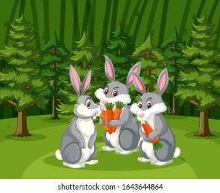 Scene with three bunnies eating carrots in the big forest illustration