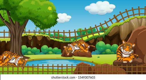 Scene with three tigers in the zoo illustration