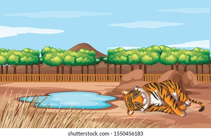 Scene with tiger in the open zoo illustration