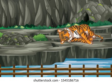 Scene with tiger in the zoo illustration
