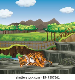 Scene with tiger in the zoo illustration