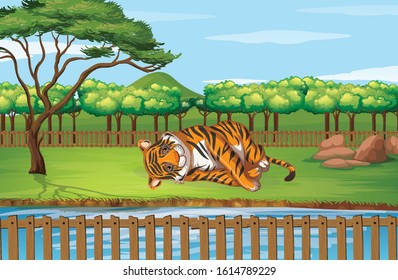 Scene with tiger at the zoo illustration