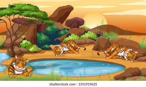 Scene with tigers sleeping by the pond illustration