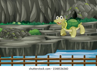 Scene with tortoise in the zoo illustration