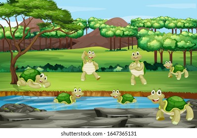 Scene with tortoises at the zoo illustration